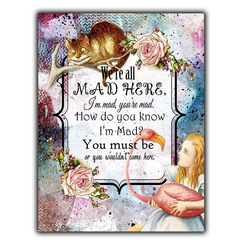 METAL SIGN PLAQUE Alice in Wonderland Lewis Carroll Quote We're A3 420 x 297mm