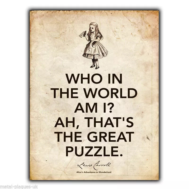 METAL SIGN WALL PLAQUE Alice in Wonderland Lewis Carroll Quote