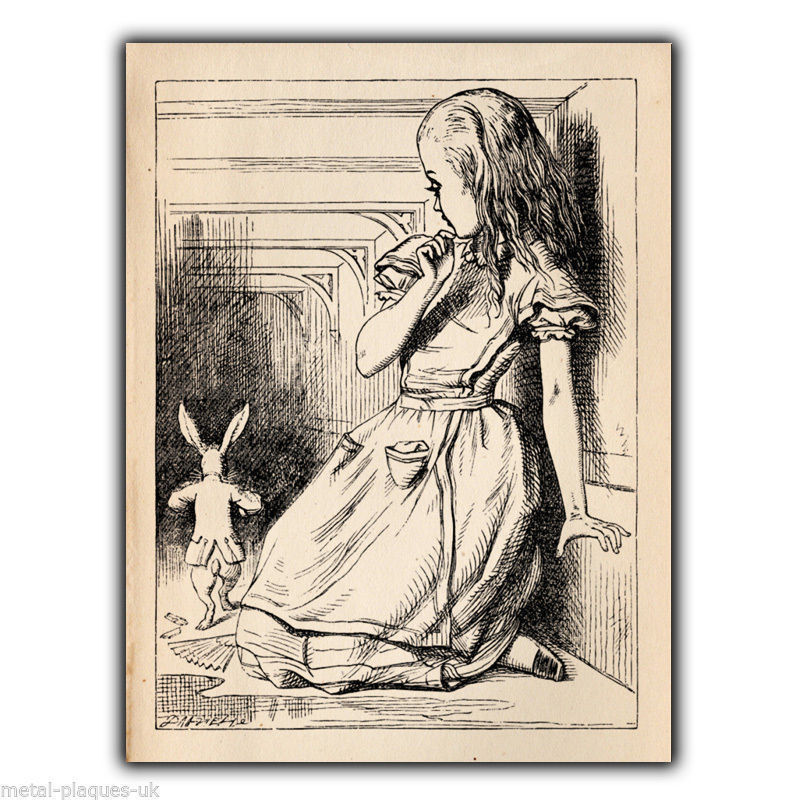 Alice in Wonderland Follow Rabbit METAL SIGN WALL PLAQUE illustration picture