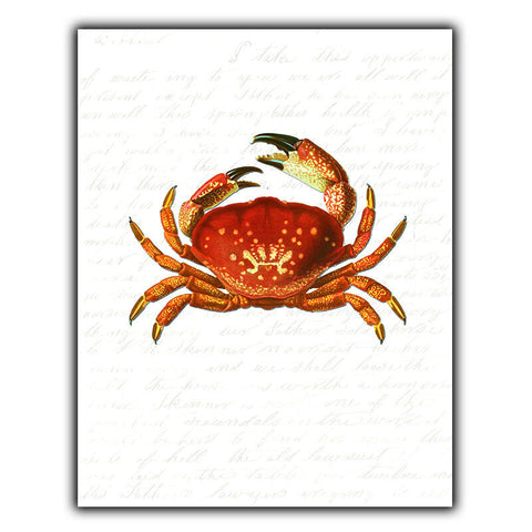 CRAB SEA LIFE METAL PRINT PLAQUE WALL SIGN restaurant kitchen art decor