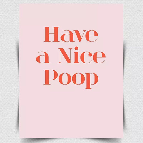 HAVE A NICE POOP METAL SIGN WALL PRINT PLAQUE Funny toilet bathroom