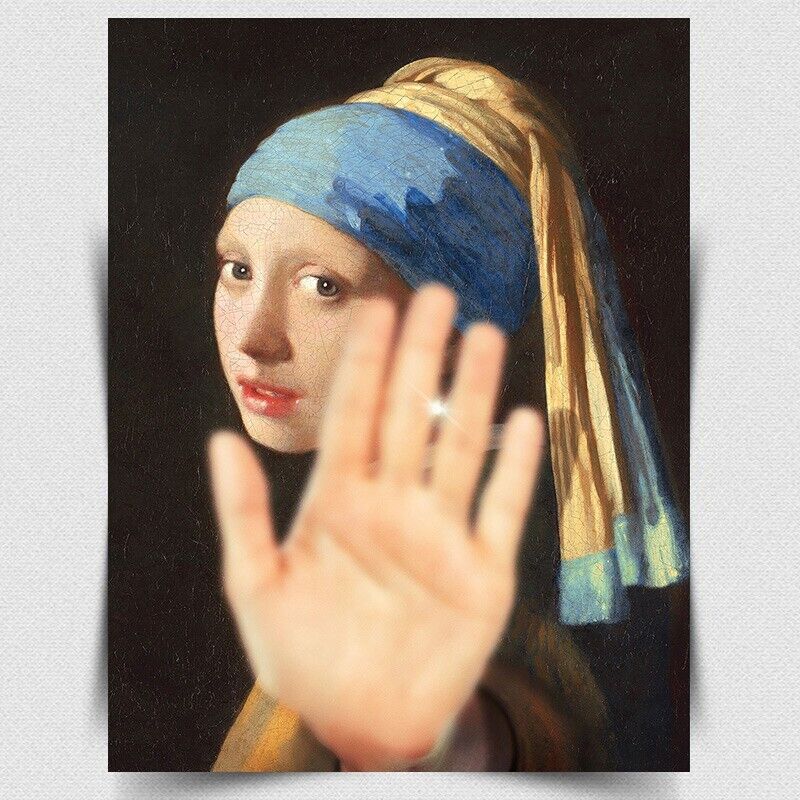 NO PHOTOS GIRL WITH A PEARL EARRING METAL WALL SIGN PLAQUE poster print art