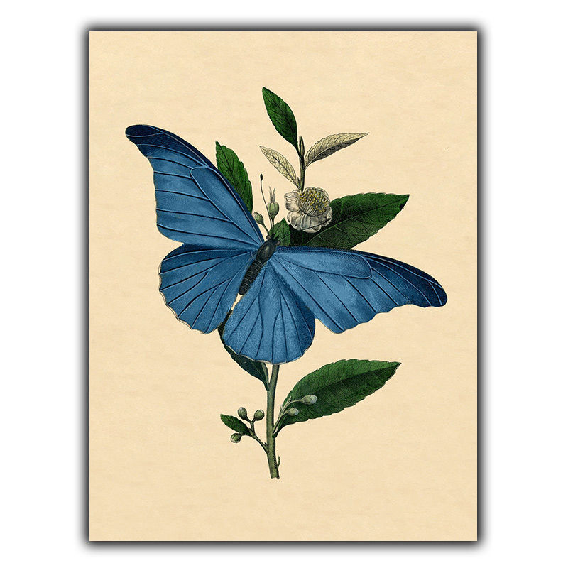 VINTAGE BUTTERFLY SIGN METAL PLAQUE Print Wall Art Illustration