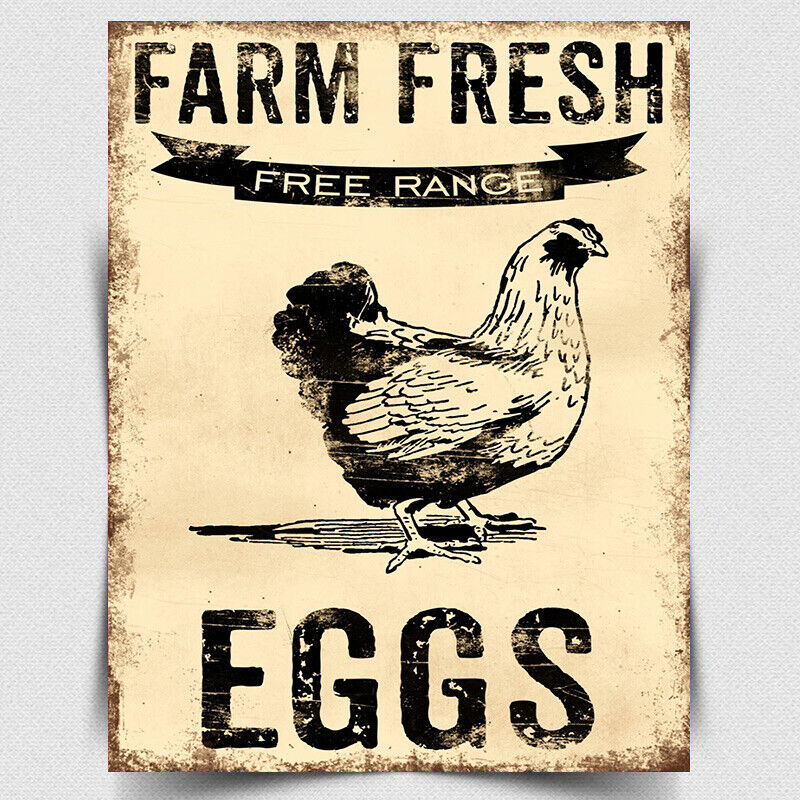 METAL WALL SIGN PLAQUE FARM FRESH FREE RANGE EGGS Kitchen cafe Vintage style