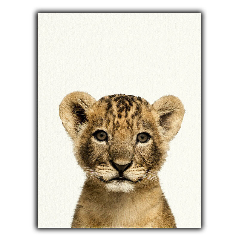 Lion Cub MINI METAL POSTER PLAQUE SIGN home bedroom nature Africa print decor