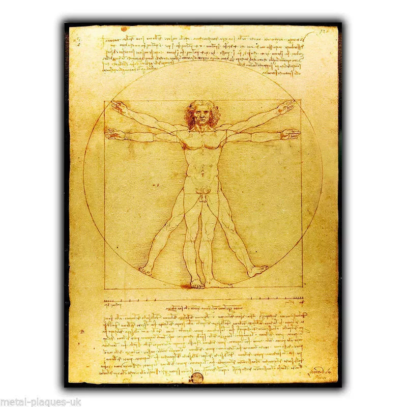 SIGN METAL PLAQUE Vitruvian Man Leonardo da Vinci poster art print picture